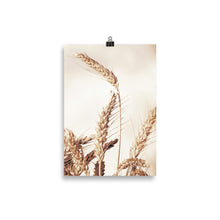 Load image into Gallery viewer, Wheat