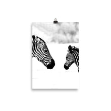 Load image into Gallery viewer, Zebra
