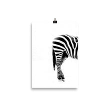 Load image into Gallery viewer, Zebra