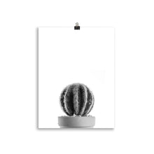 Load image into Gallery viewer, Cactus