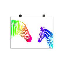 Load image into Gallery viewer, Colour zebra