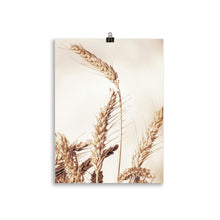 Load image into Gallery viewer, Wheat