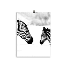 Load image into Gallery viewer, Zebra