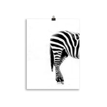 Load image into Gallery viewer, Zebra