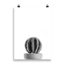 Load image into Gallery viewer, Cactus