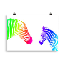 Load image into Gallery viewer, Colour zebra