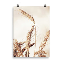 Load image into Gallery viewer, Wheat