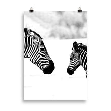 Load image into Gallery viewer, Zebra