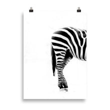 Load image into Gallery viewer, Zebra