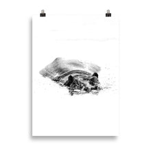 Load image into Gallery viewer, Hippo