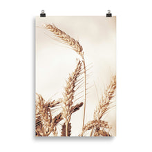 Load image into Gallery viewer, Wheat