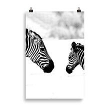 Load image into Gallery viewer, Zebra