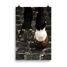 Load image into Gallery viewer, Horse