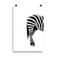 Load image into Gallery viewer, Zebra