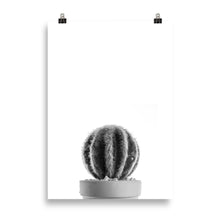 Load image into Gallery viewer, Cactus