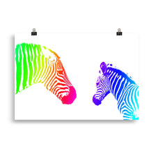 Load image into Gallery viewer, Colour zebra