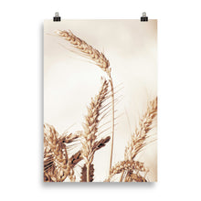 Load image into Gallery viewer, Wheat