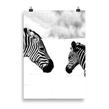 Load image into Gallery viewer, Zebra