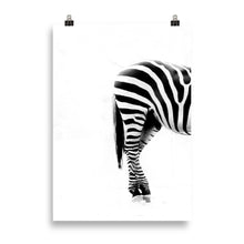 Load image into Gallery viewer, Zebra