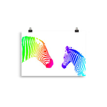 Load image into Gallery viewer, Colour zebra
