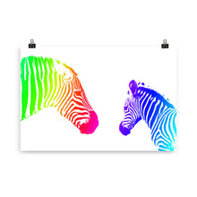 Load image into Gallery viewer, Colour zebra
